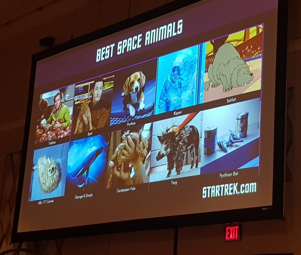 OneTrekMindBestAnimals